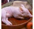 /album/imagenes-de-nuestros-productos/plato-lechon-jpg1/